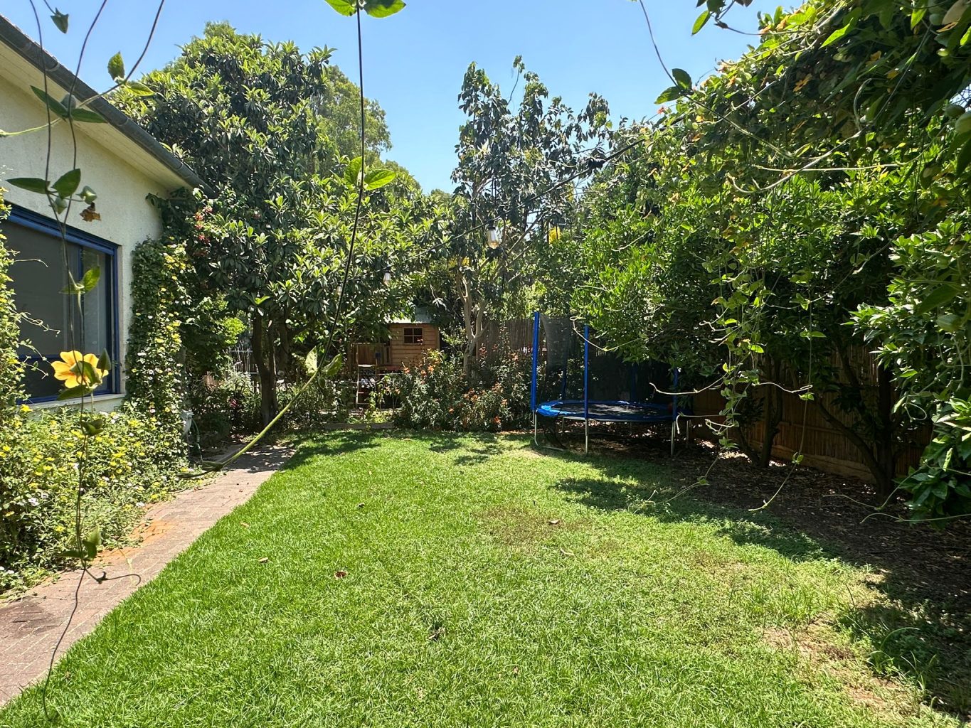 WhatsApp Image 2024-06-06 at 14.18.02 (1)