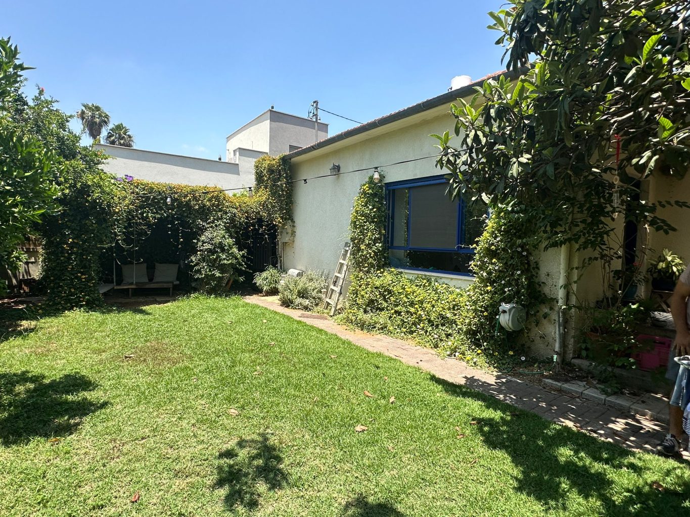 WhatsApp Image 2024-06-06 at 14.18.03 (1)