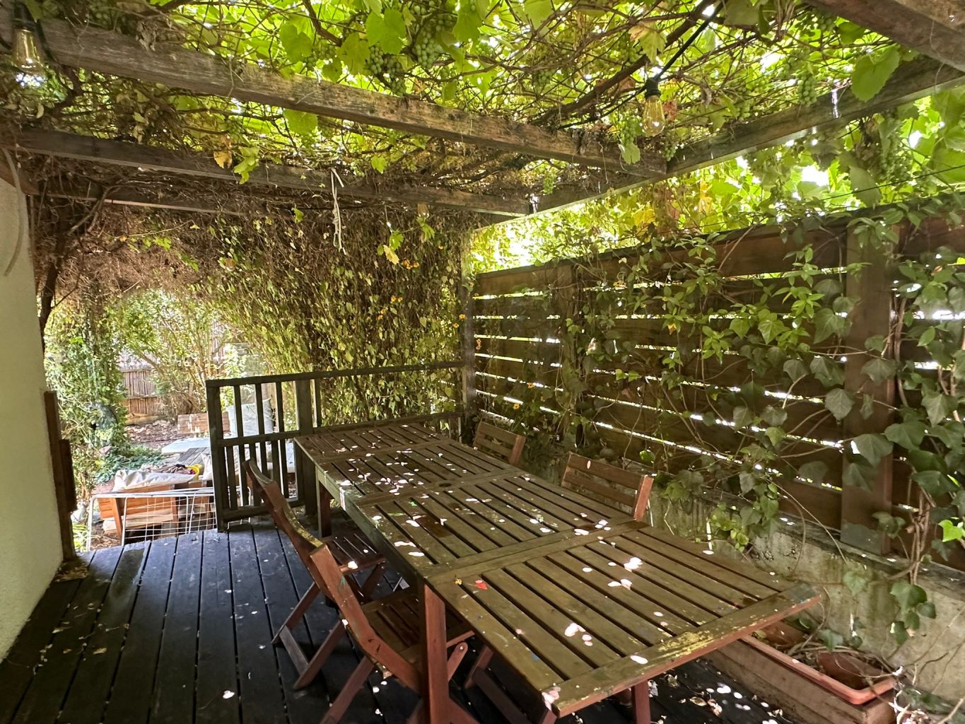 WhatsApp Image 2024-06-06 at 14.18.03