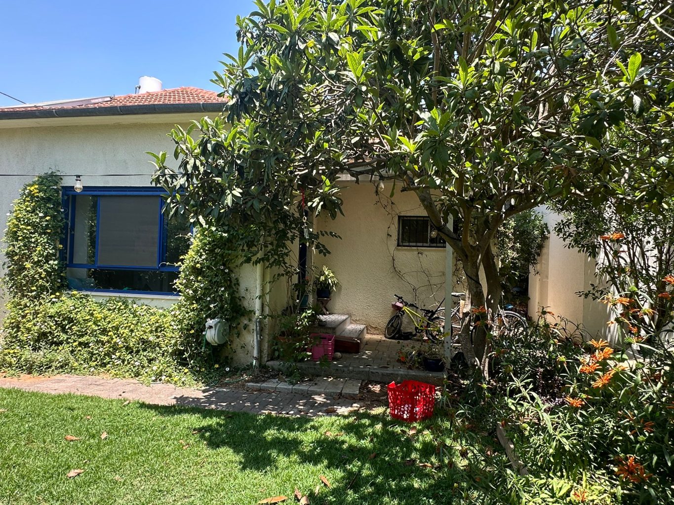 WhatsApp Image 2024-06-06 at 14.18.04 (1)