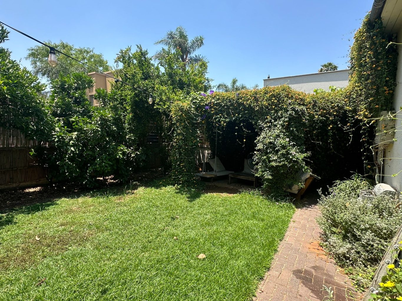 WhatsApp Image 2024-06-06 at 14.18.04