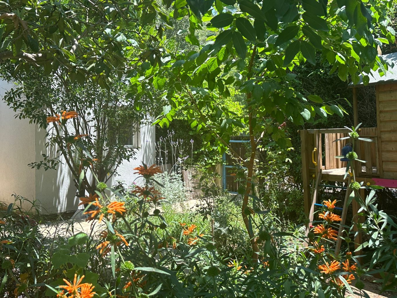 WhatsApp Image 2024-06-06 at 14.18.05