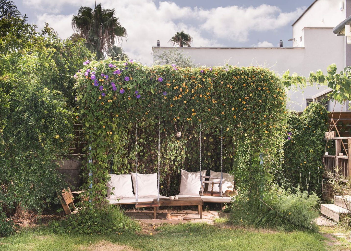 WhatsApp Image 2024-06-06 at 14.18.29 (2)