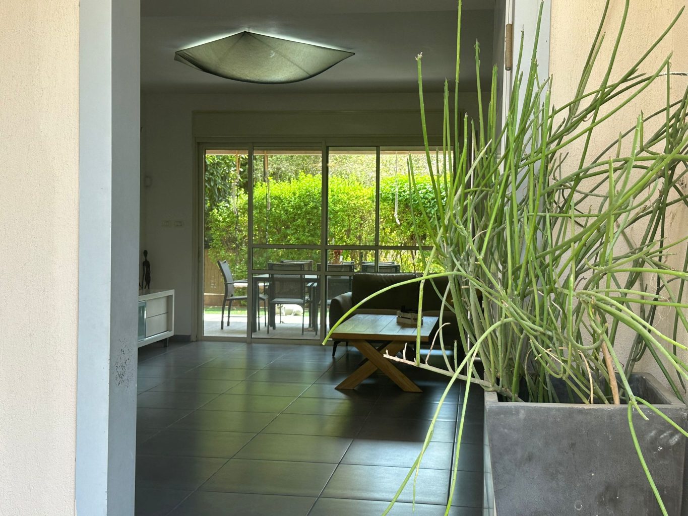 WhatsApp Image 2024-07-03 at 16.55.59