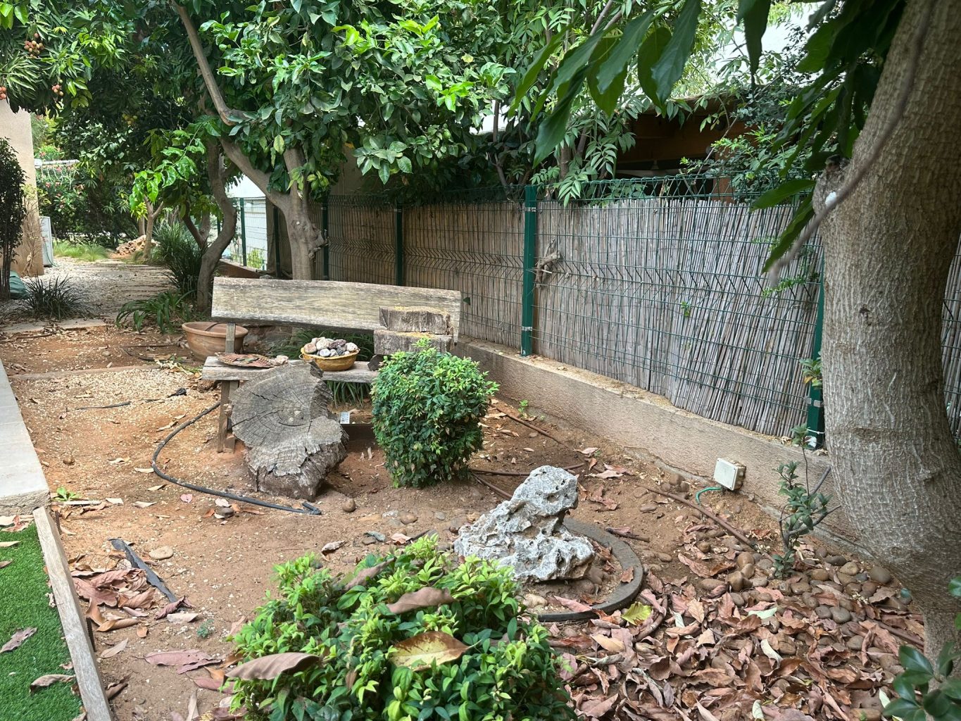 WhatsApp Image 2024-07-03 at 16.56.01