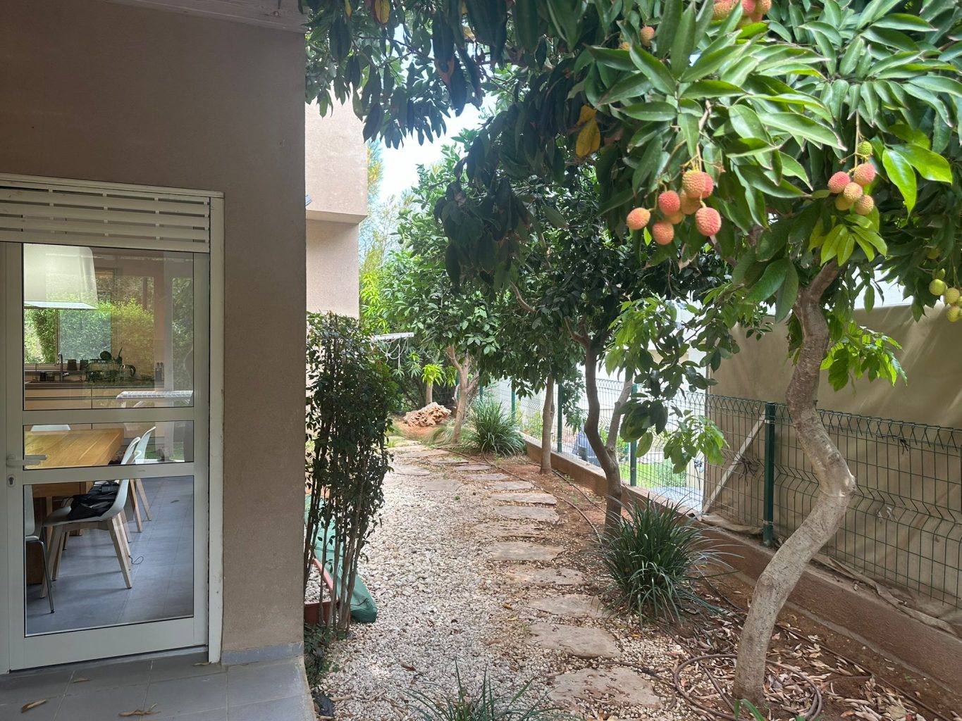 WhatsApp Image 2024-07-03 at 16.56.03