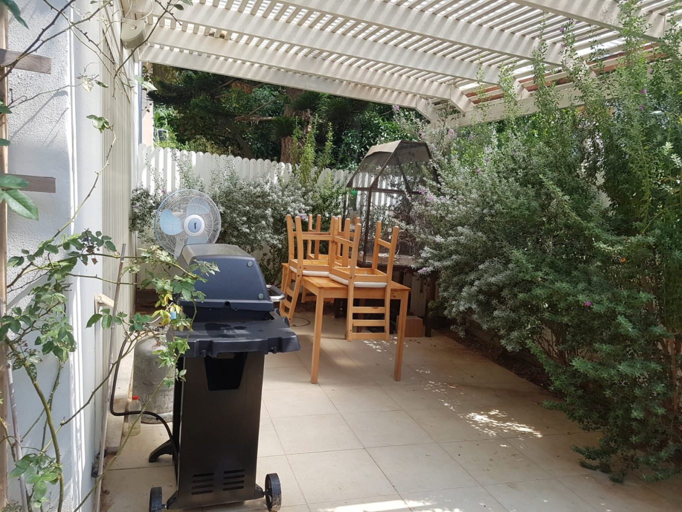 WhatsApp Image 2024-07-21 at 20.01.58 (1)