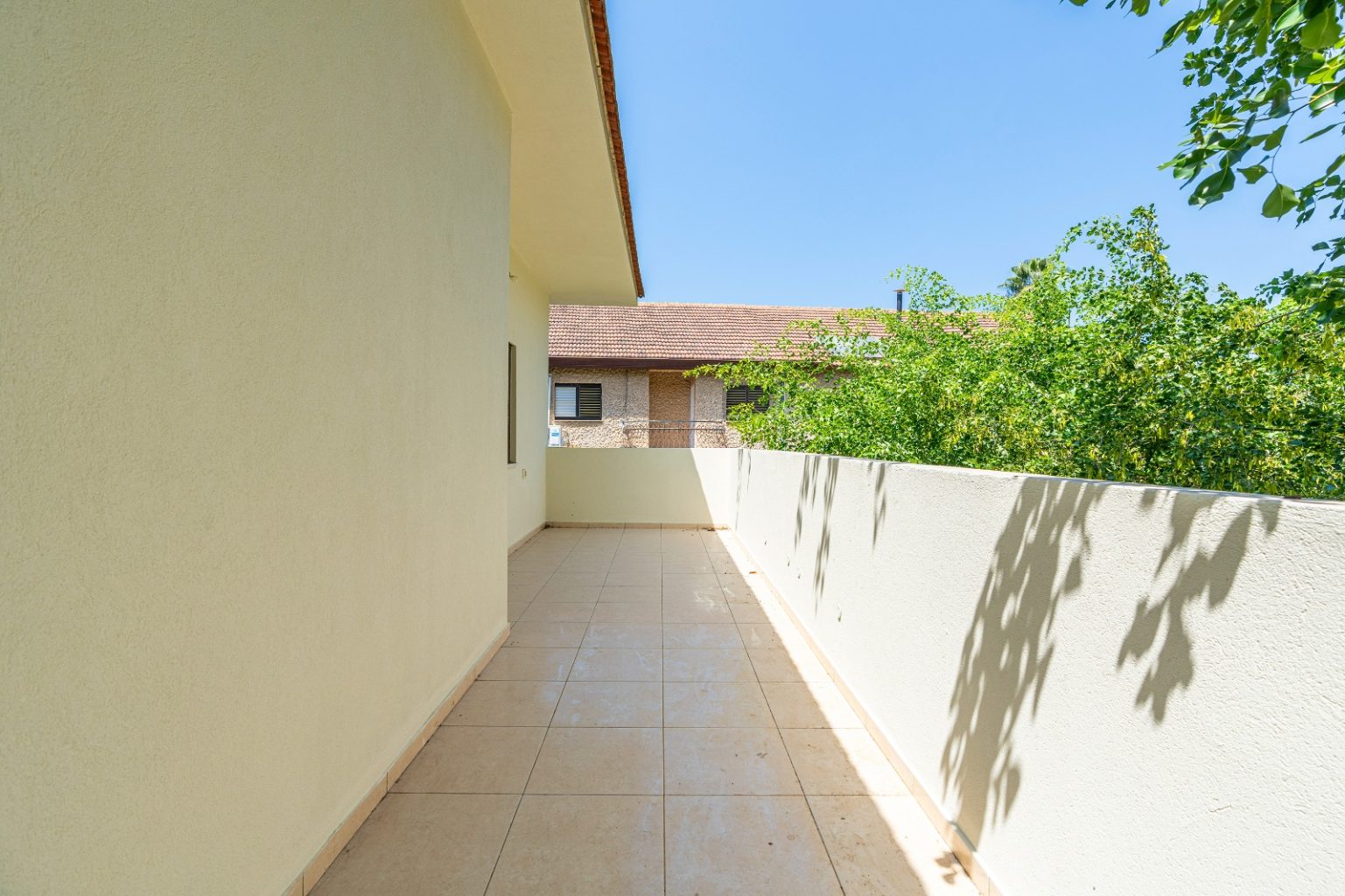 WhatsApp Image 2024-08-06 at 16.31.21