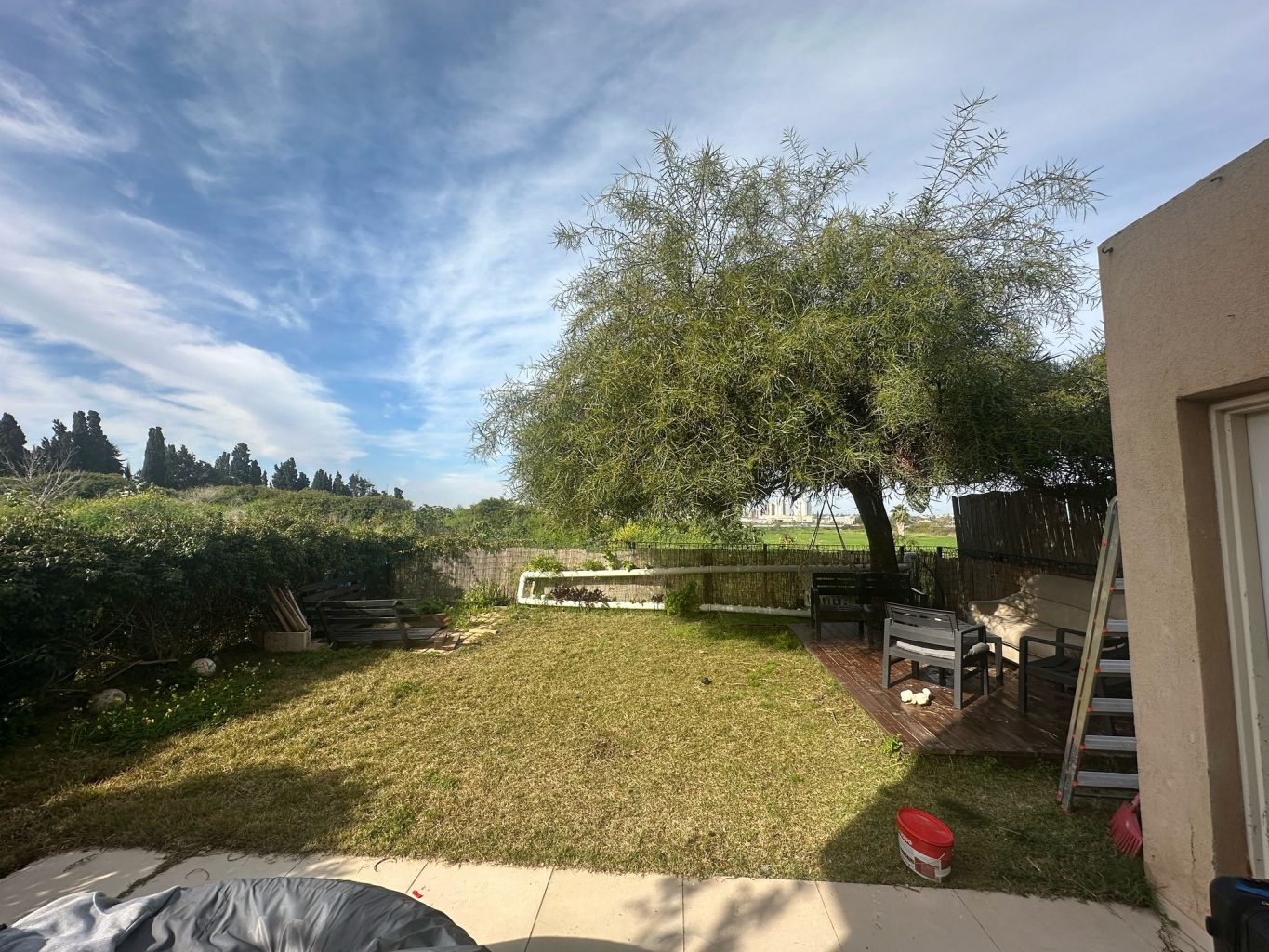 WhatsApp Image 2025-03-03 at 11.57.35