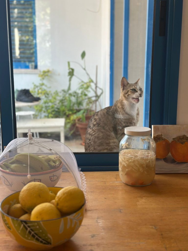 WhatsApp Image 2025-06-10 at 10.57.13 (3)