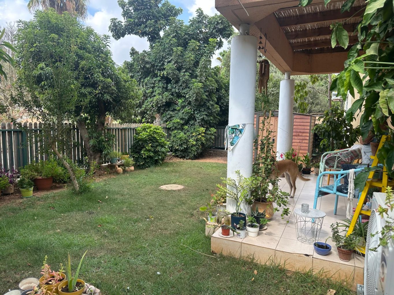 WhatsApp Image 2025-09-01 at 12.22.36 (2)