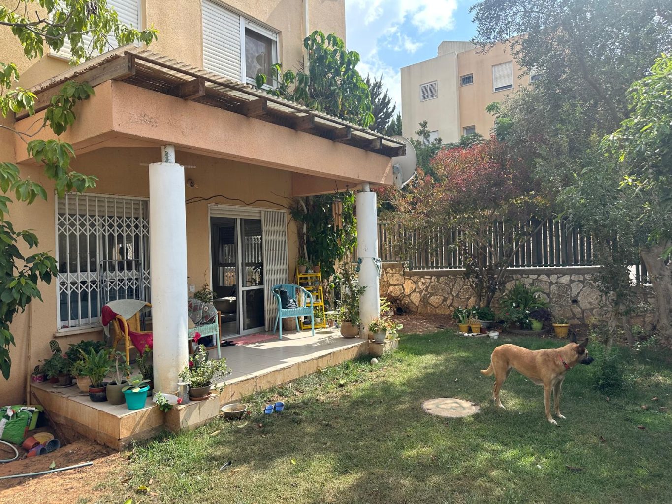 WhatsApp Image 2025-09-01 at 12.22.36 (4)