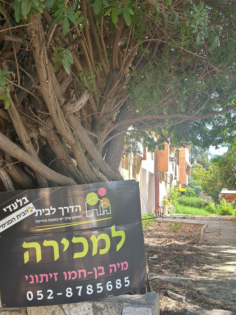 WhatsApp Image 2025-10-19 at 13.19.01