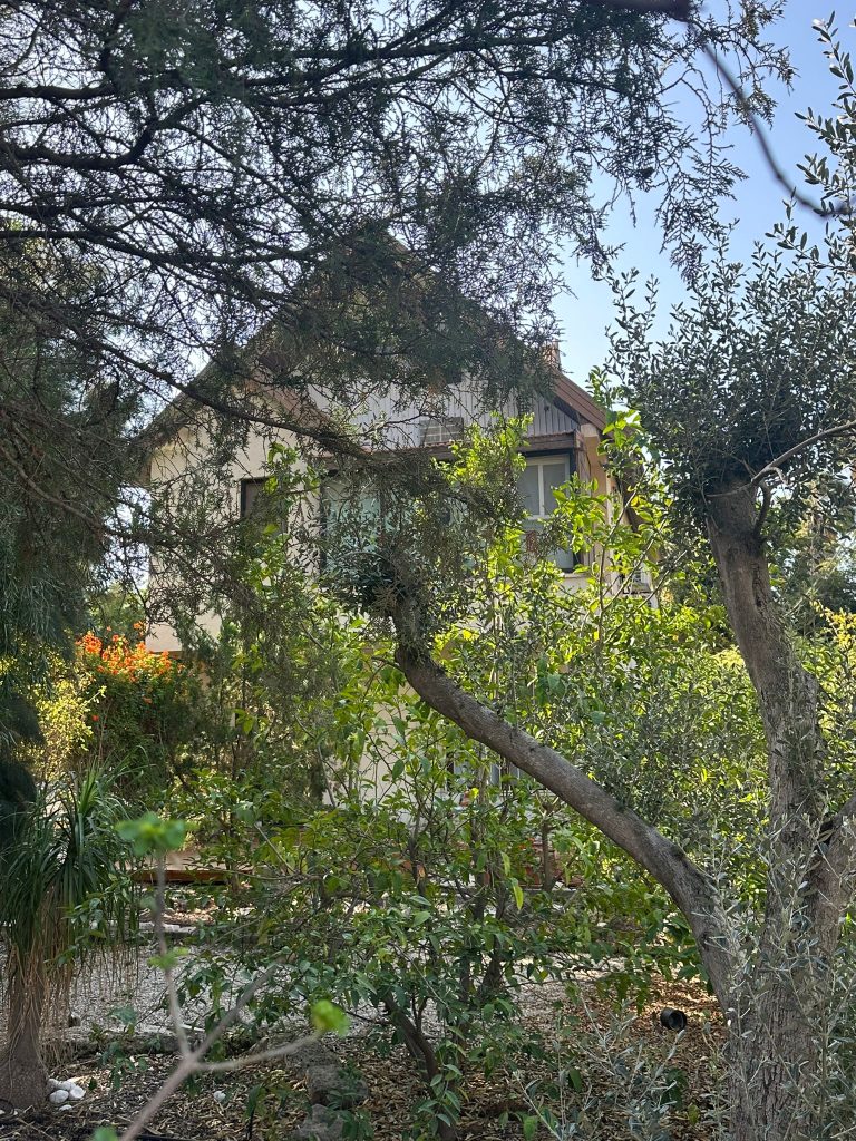 WhatsApp Image 2025-11-27 at 12.19.01