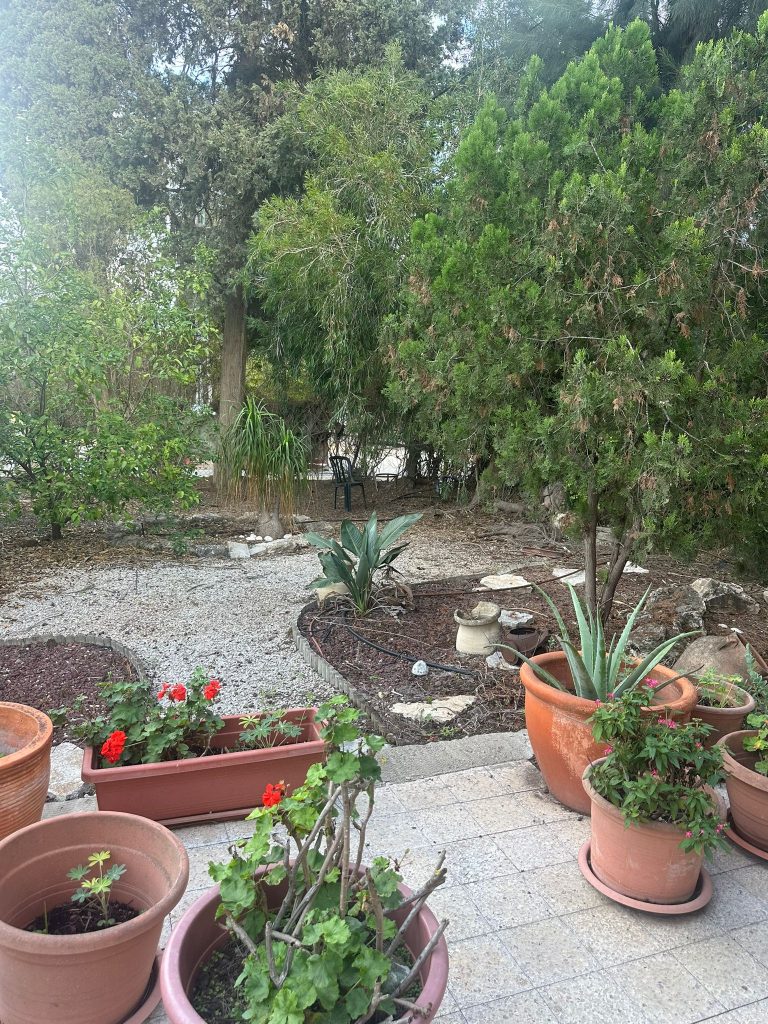 WhatsApp Image 2025-12-17 at 11.28.34 (2)