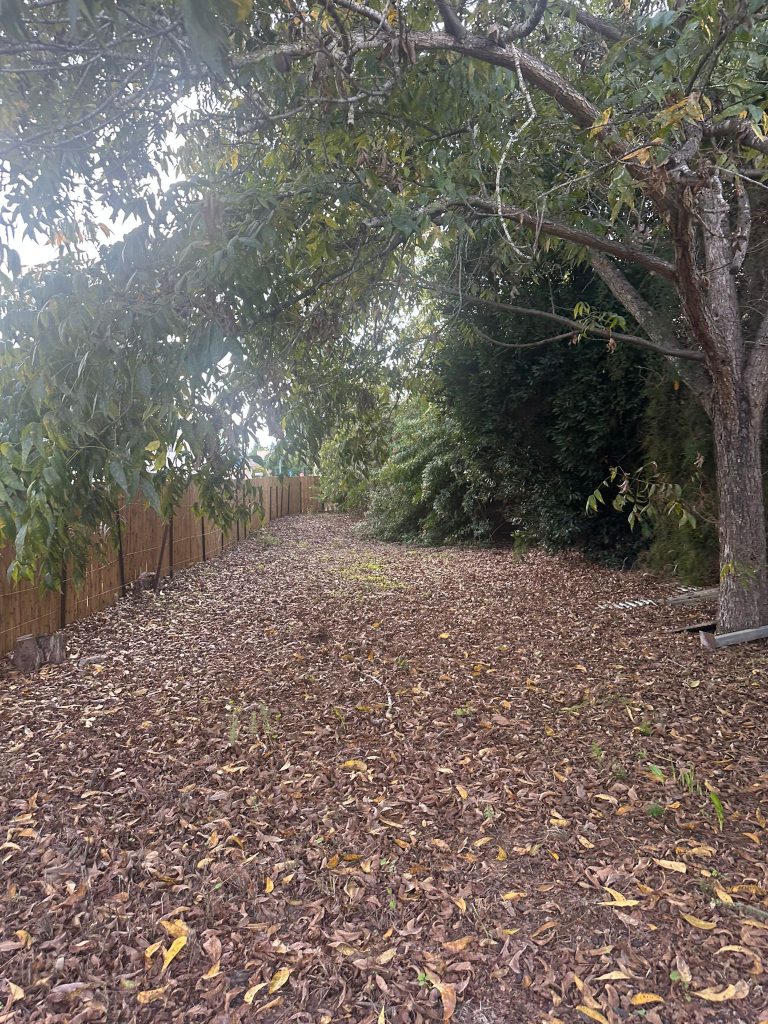 WhatsApp Image 2025-12-17 at 11.28.34 (3)