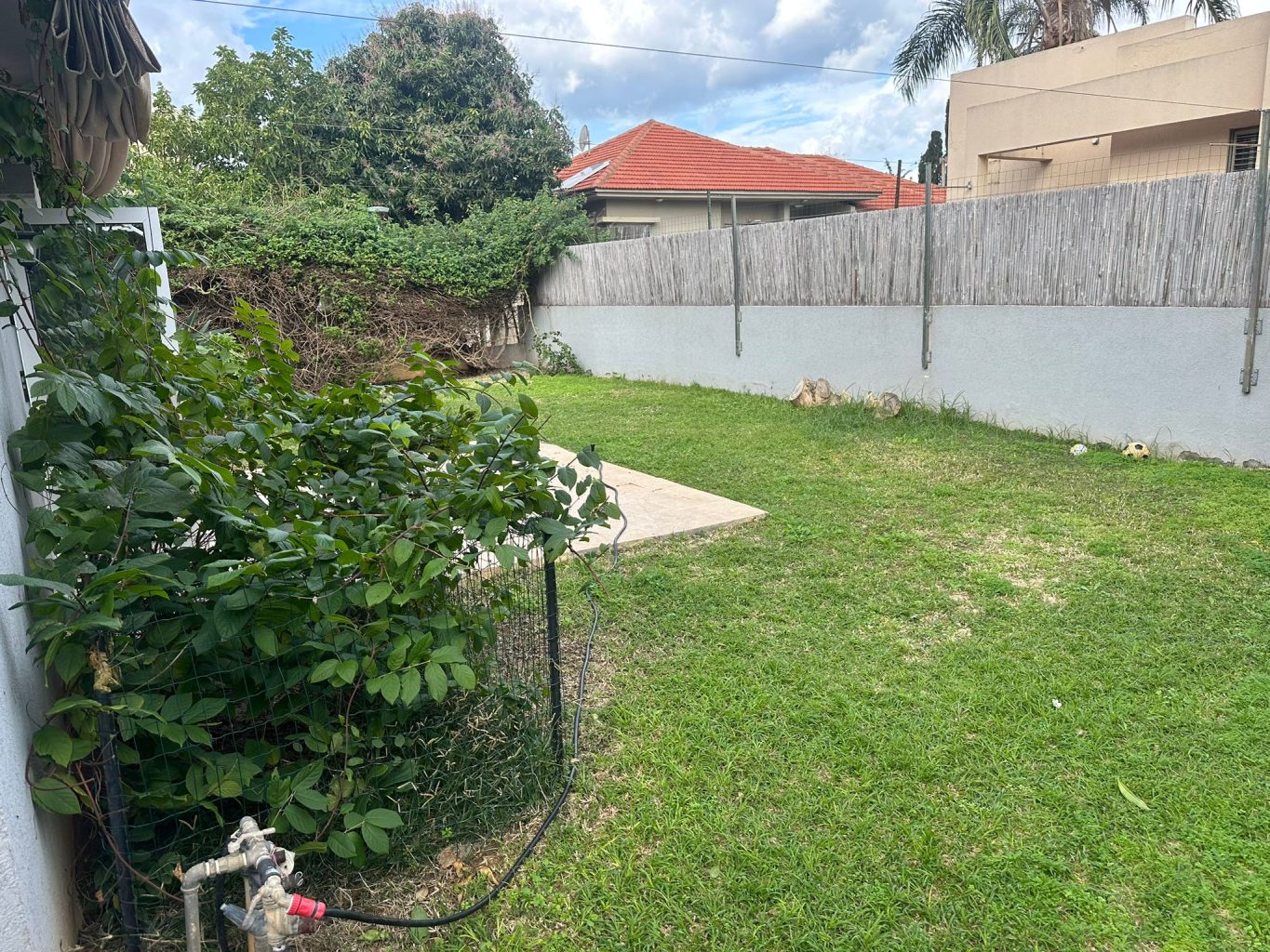 WhatsApp Image 2025-12-31 at 15.41.46