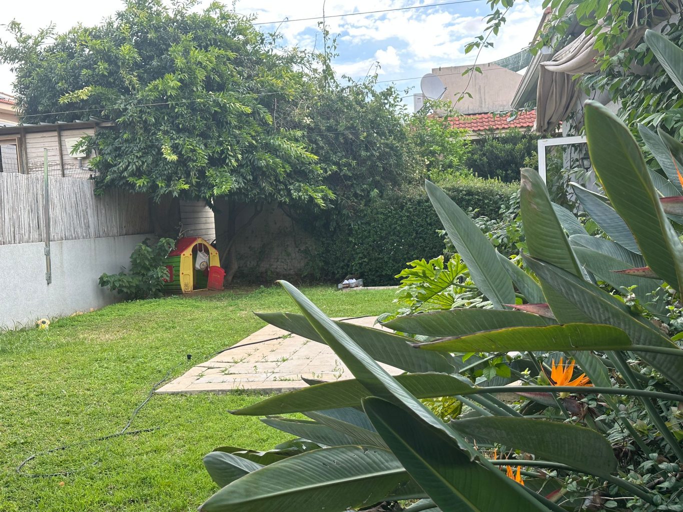 WhatsApp Image 2025-12-31 at 15.41.49