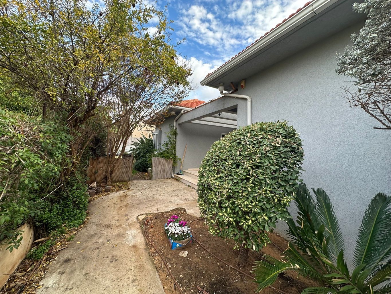 WhatsApp Image 2025-12-31 at 15.41.56 (1)