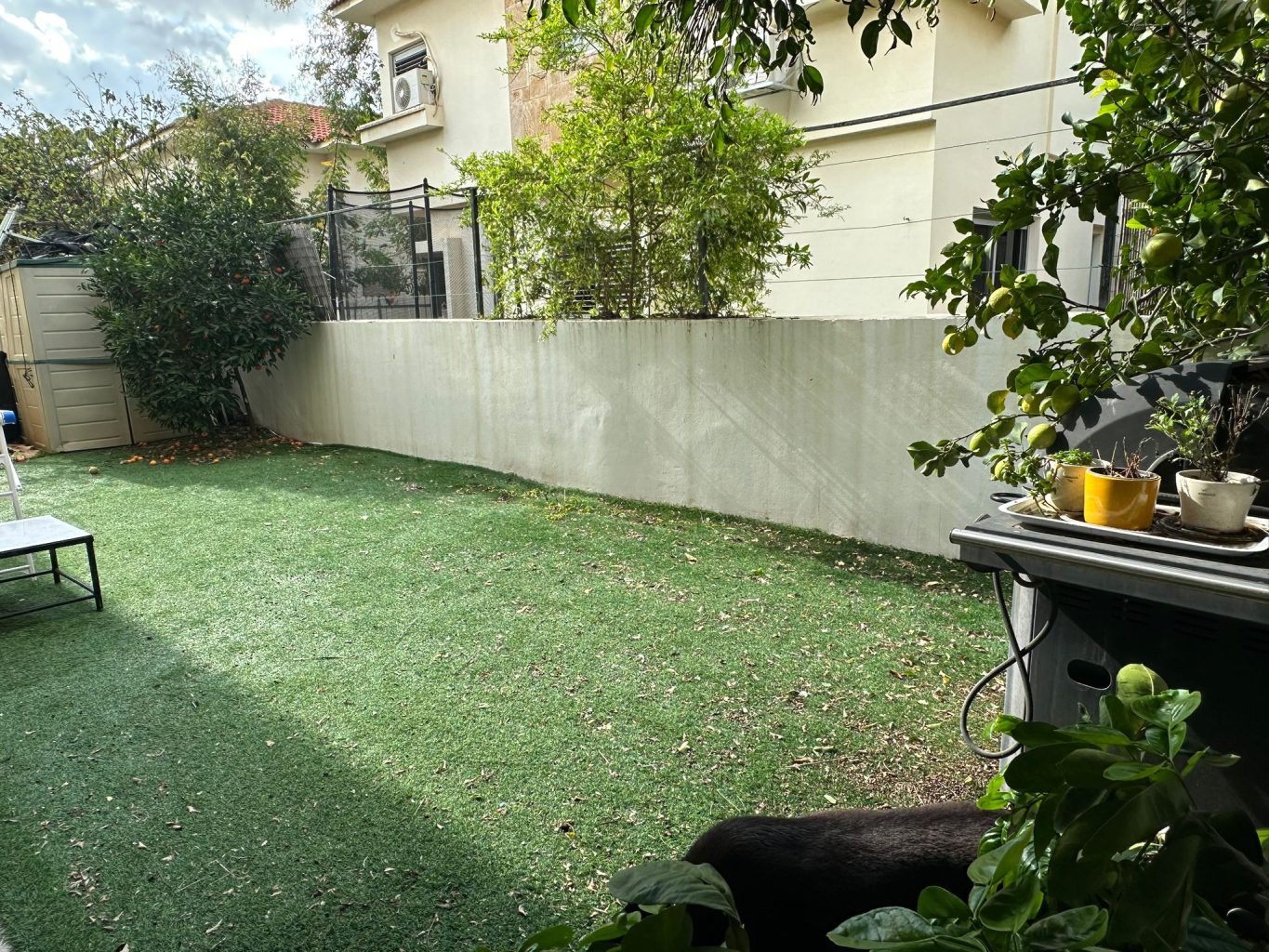 WhatsApp Image 2025-12-31 at 15.51.56 (3)