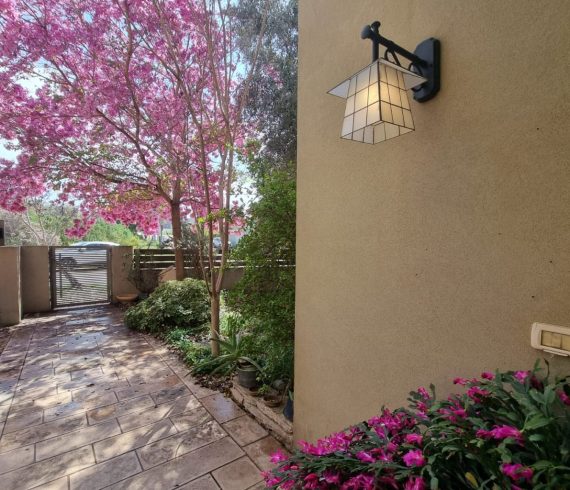 בבלעדיות – בבנימינה בשכונת זרעוניה בית יפיפה עם חצר מרווחת נכס 113