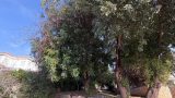 WhatsApp Image 2026-01-08 at 15.13.25