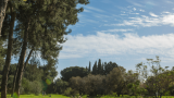 אוירה פרדס חנה עם נקודות
