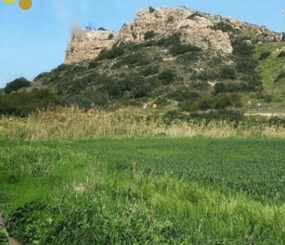 בבלעדיות – להשכרה קוטג' בשכונת כרמי בנימינה, כניסה מיידית