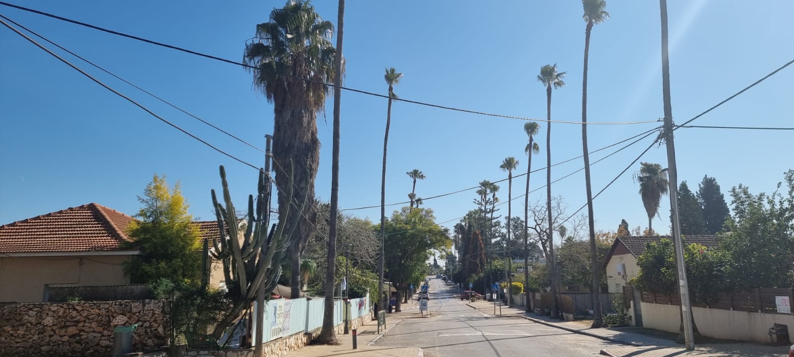 המייסדים בנימינה ריק1