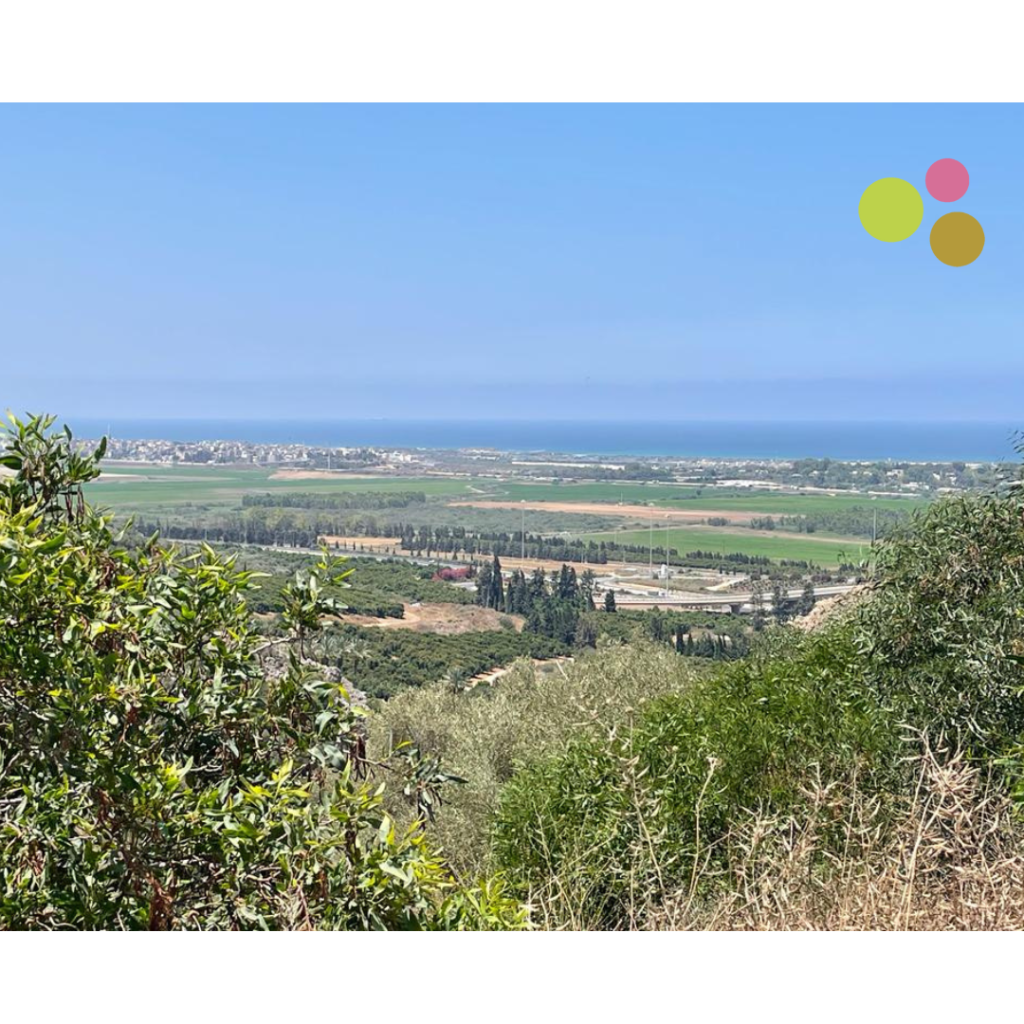 זכרון יעקב1